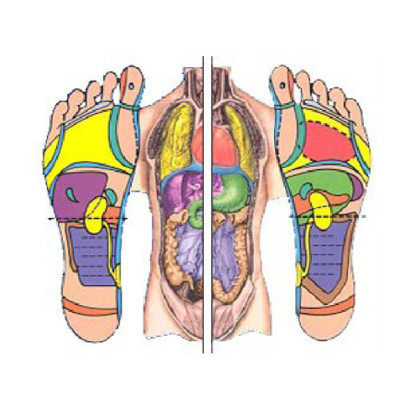 Quest Ce Que La R Flexologie Plantaire Pouce De Vie Carole Zaccaria